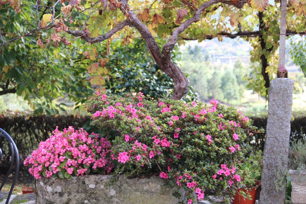 Quinta De Canhoes São Pedro do Sul Exterior foto